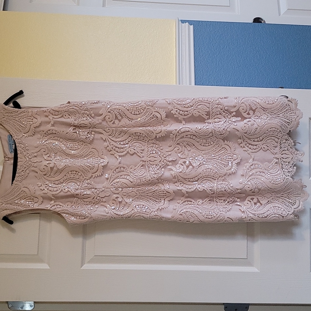 Antonio Melani blush sequin dress
